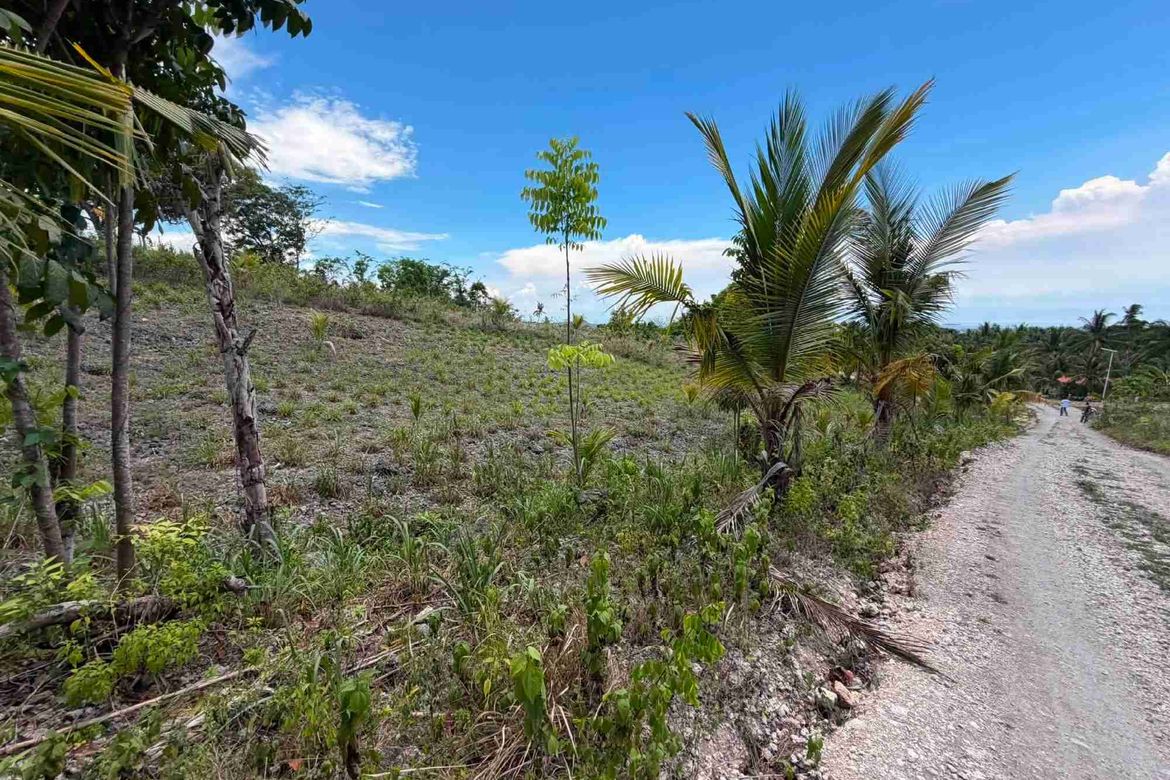 Land for Sale in Bugho, Moalboal, Cebu – photo 4