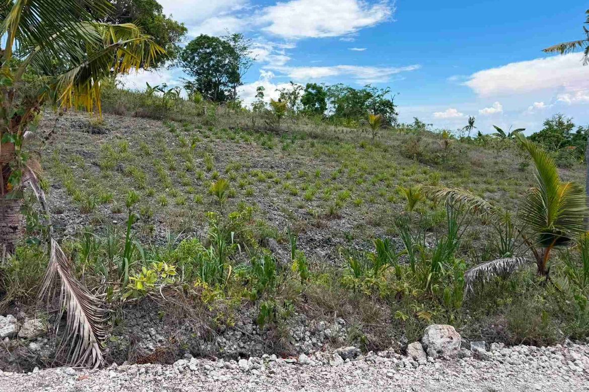 Land for Sale in Bugho, Moalboal, Cebu – photo 5