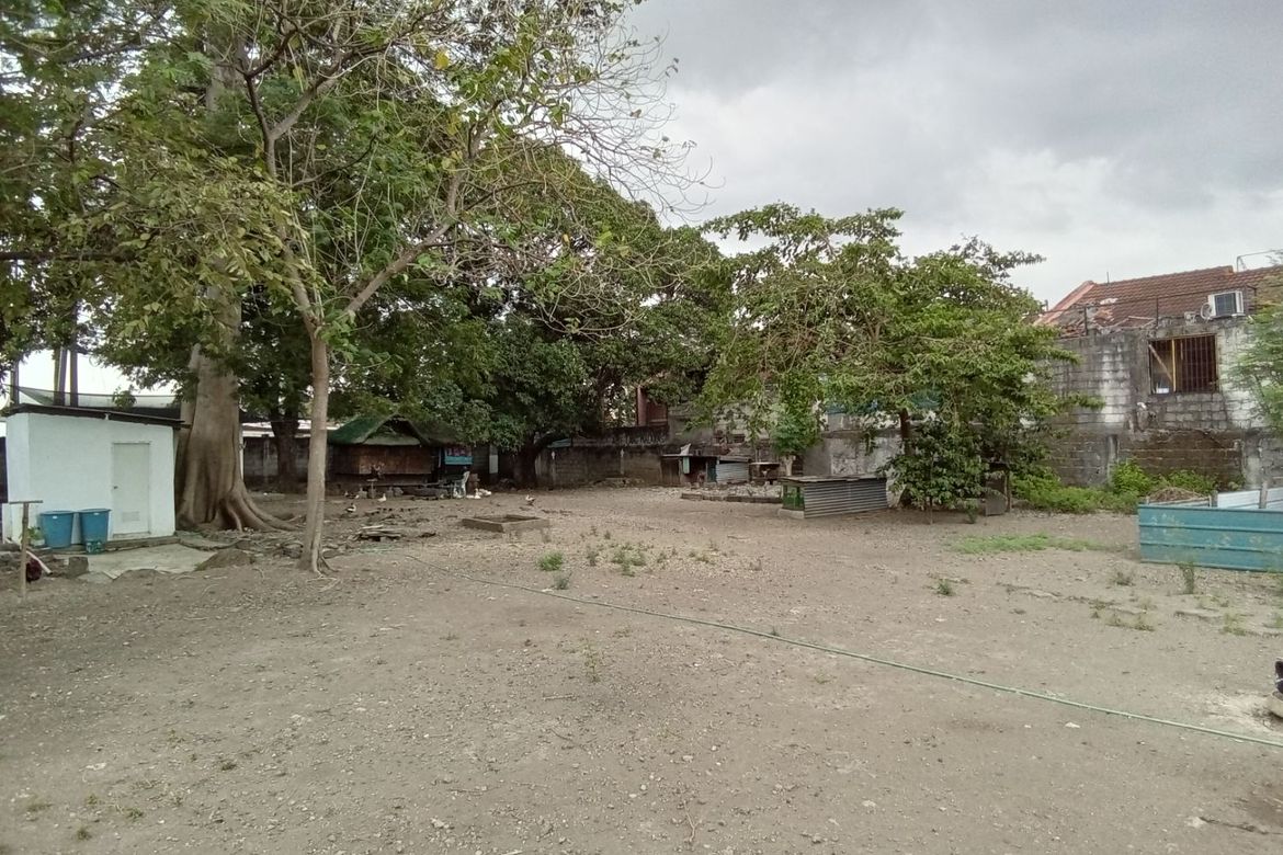 Land for Sale in Buhay na Tubig, Imus, Cavite – photo 3