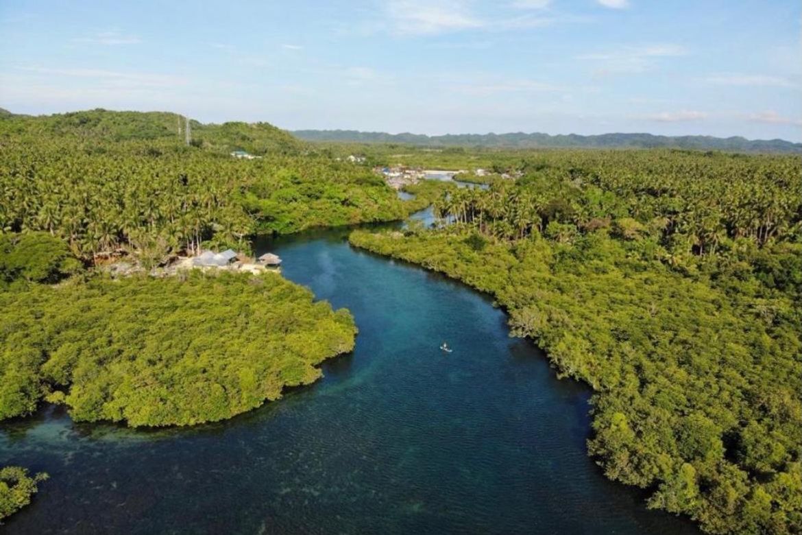 Land for Sale in Buhing Calipay, San Isidro, Surigao del Norte – photo 4