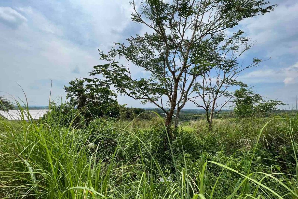 Land for Sale in Buhol Na Mangga, San Ildefonso, Bulacan – photo 4