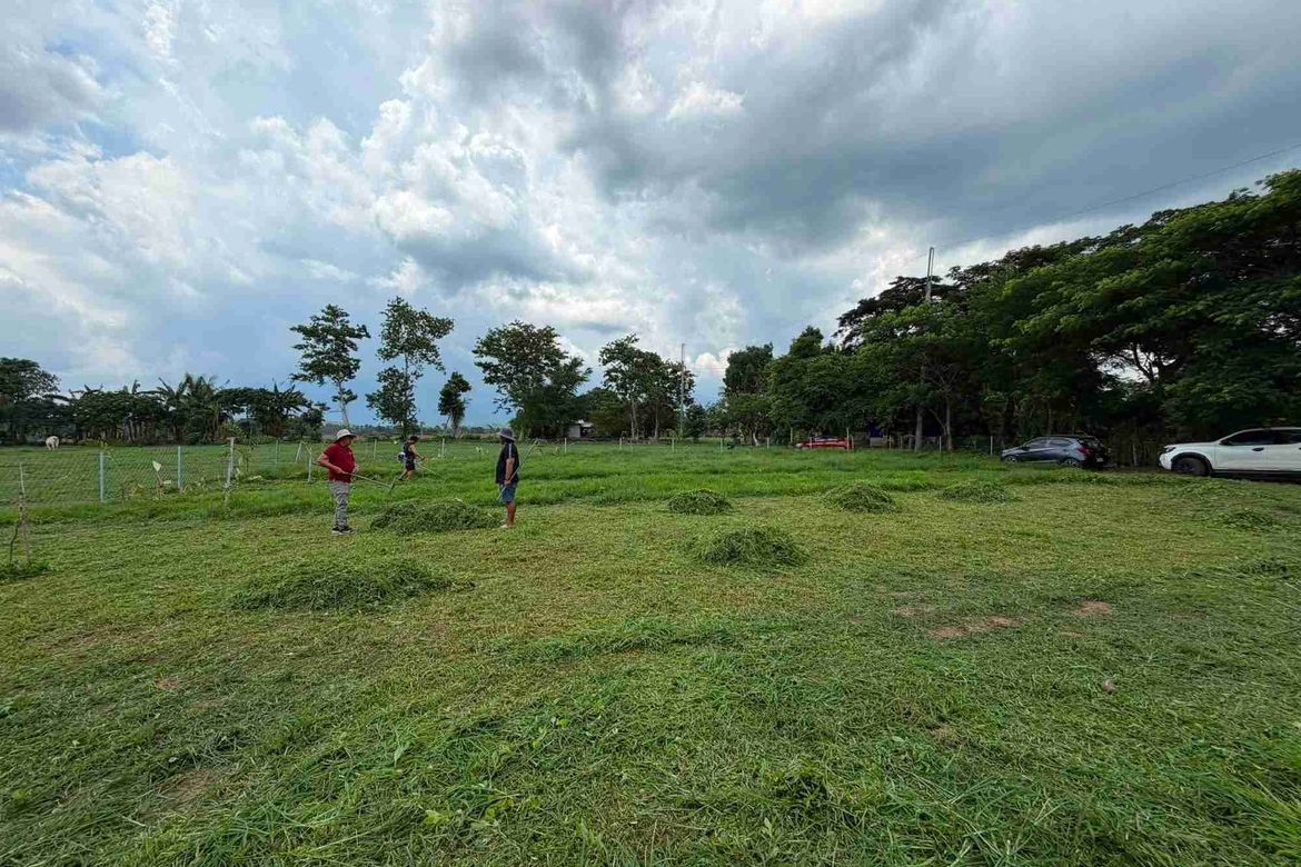 Land for Sale in Bukal Norte, Candelaria, Quezon – photo 3