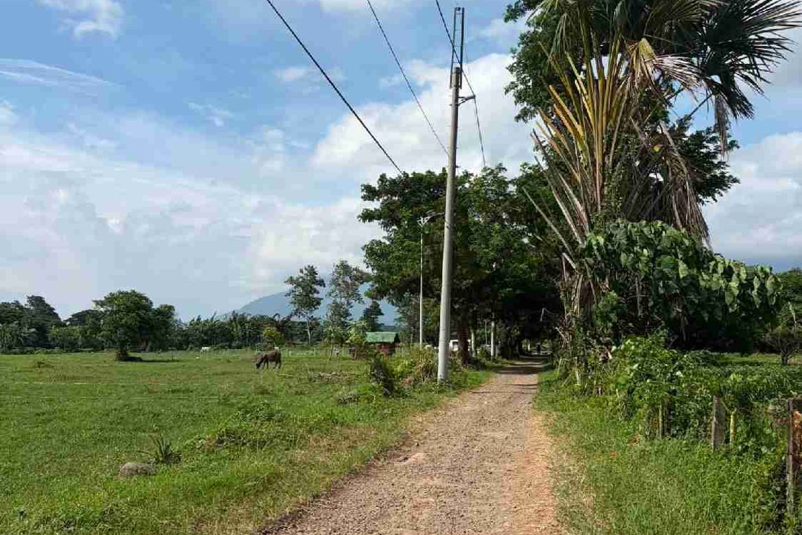 Land for Sale in Bukal Norte, Candelaria, Quezon – photo 4