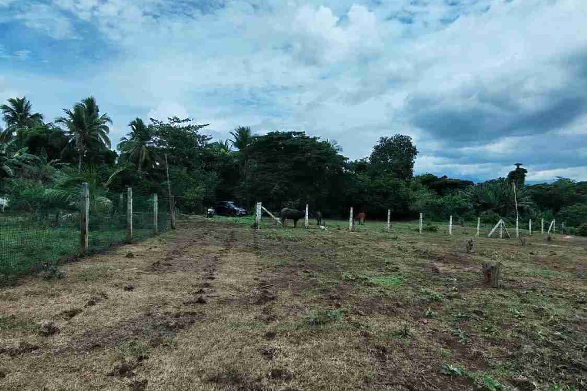 Land for Sale in Bukal Norte, Candelaria, Quezon – photo 2