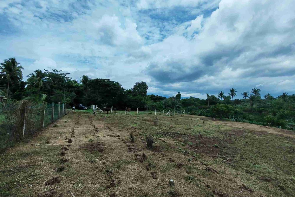 Land for Sale in Bukal Norte, Candelaria, Quezon – photo 3