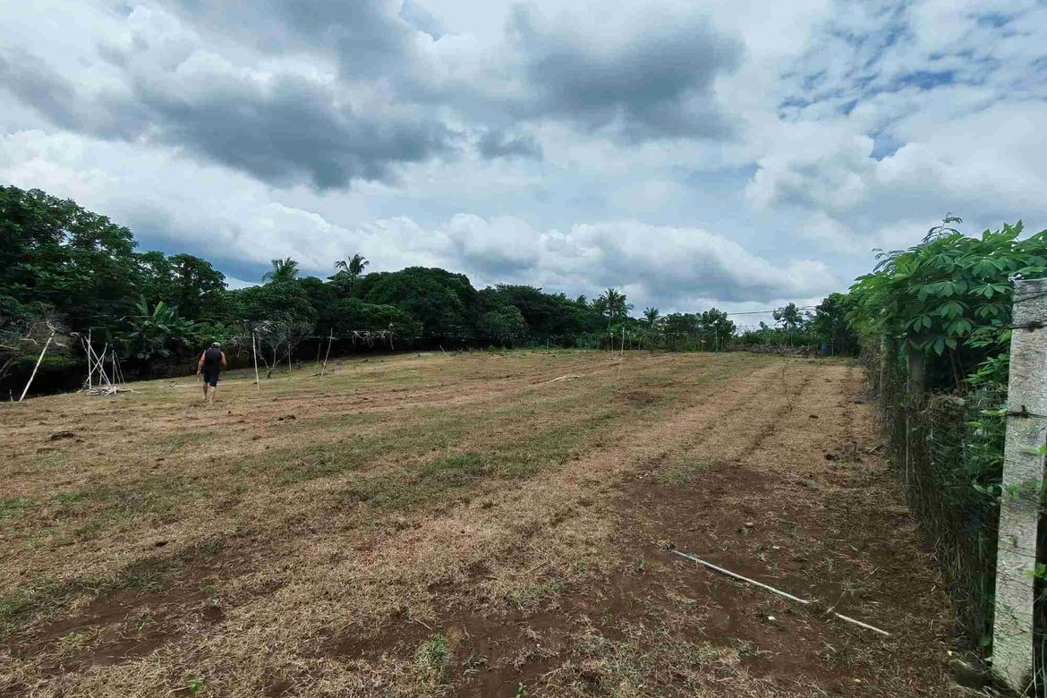Land for Sale in Bukal Norte, Candelaria, Quezon – photo 5