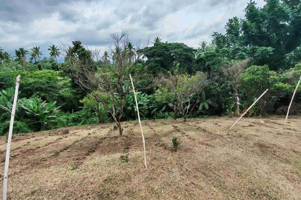 Land for Sale in Bukal Norte, Candelaria, Quezon – photo 8