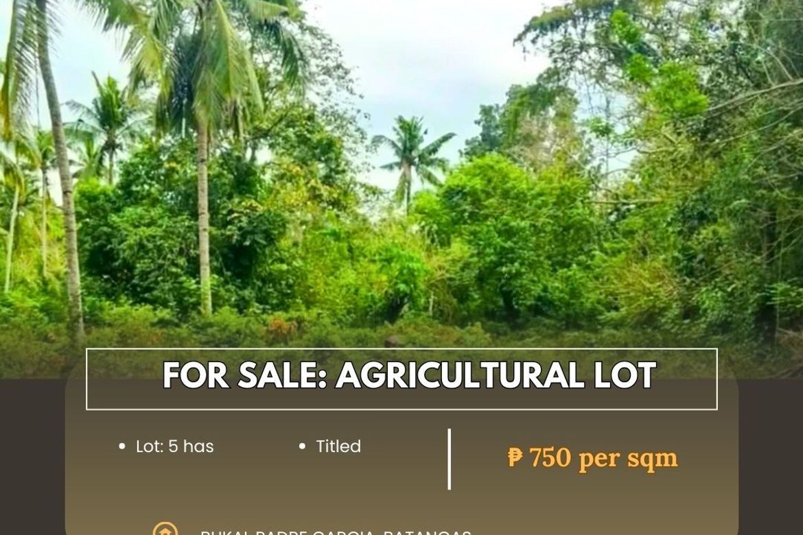 Land for Sale in Bukal, Padre Garcia, Batangas
