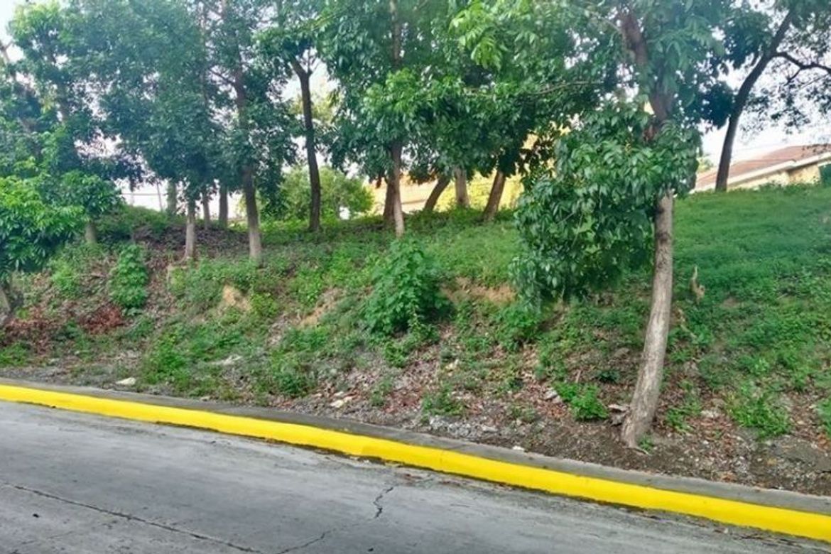 Land for Sale in Bulacao, Talisay, Cebu