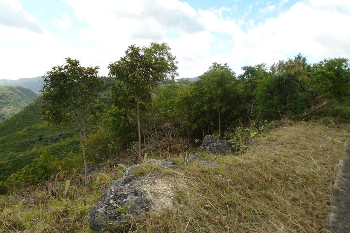 Land for Sale in Bulacao, Talisay, Cebu – photo 6