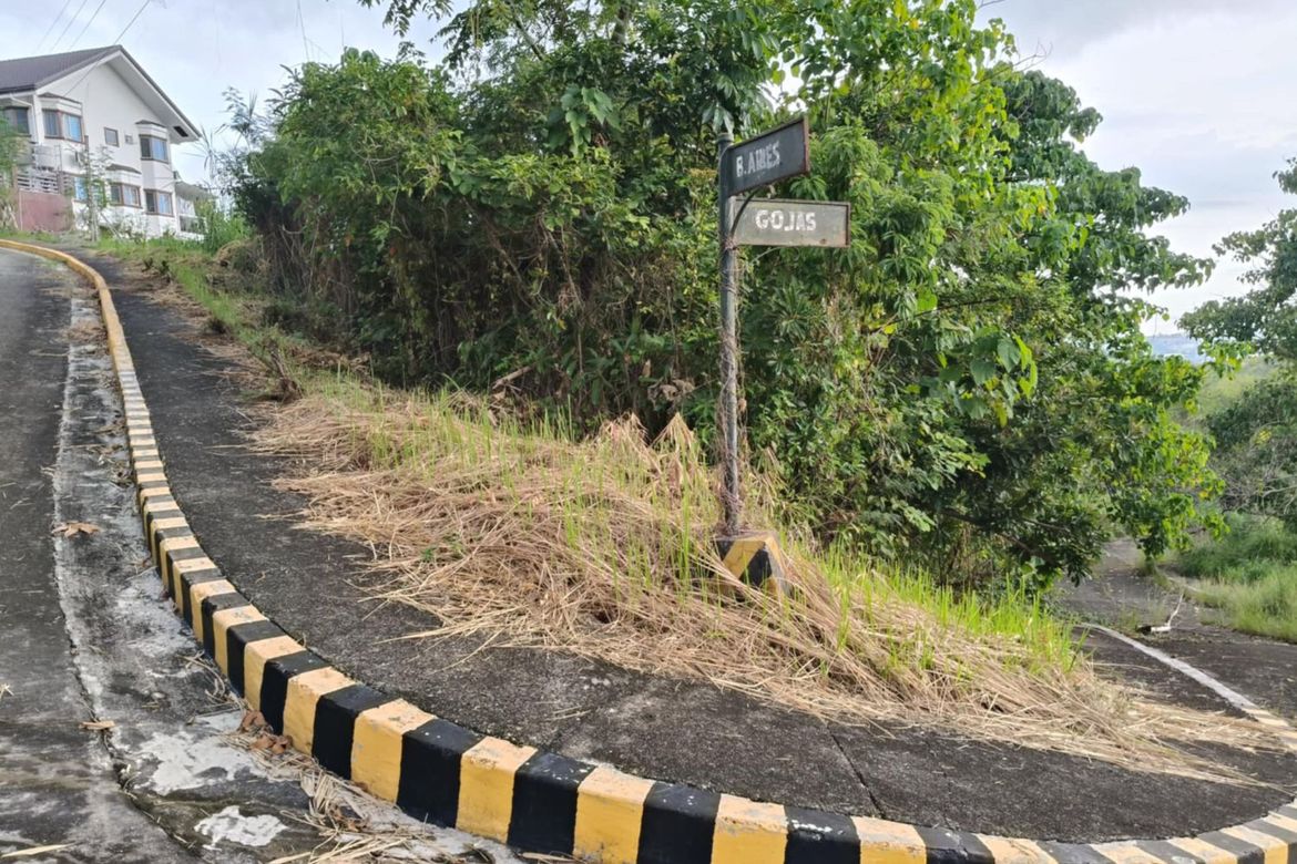 Land for Sale in Bulacao, Talisay, Cebu