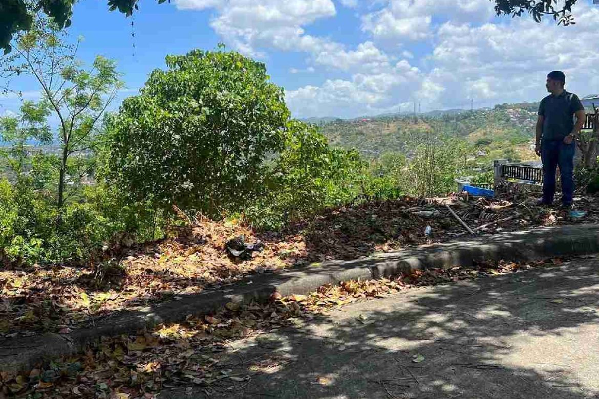 Land for Sale in Bulacao, Talisay, Cebu – photo 4