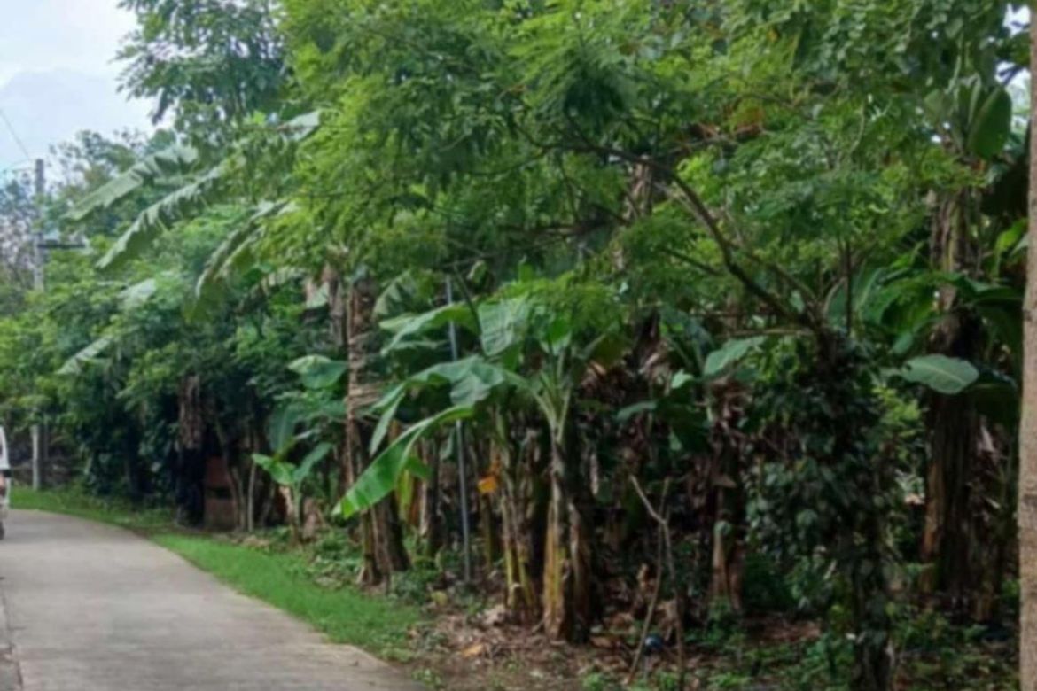 Land for Sale in Bulacnin, Lipa, Batangas – photo 2