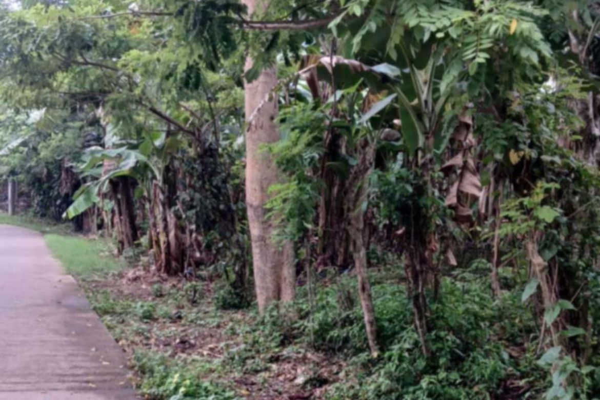 Land for Sale in Bulacnin, Lipa, Batangas – photo 3