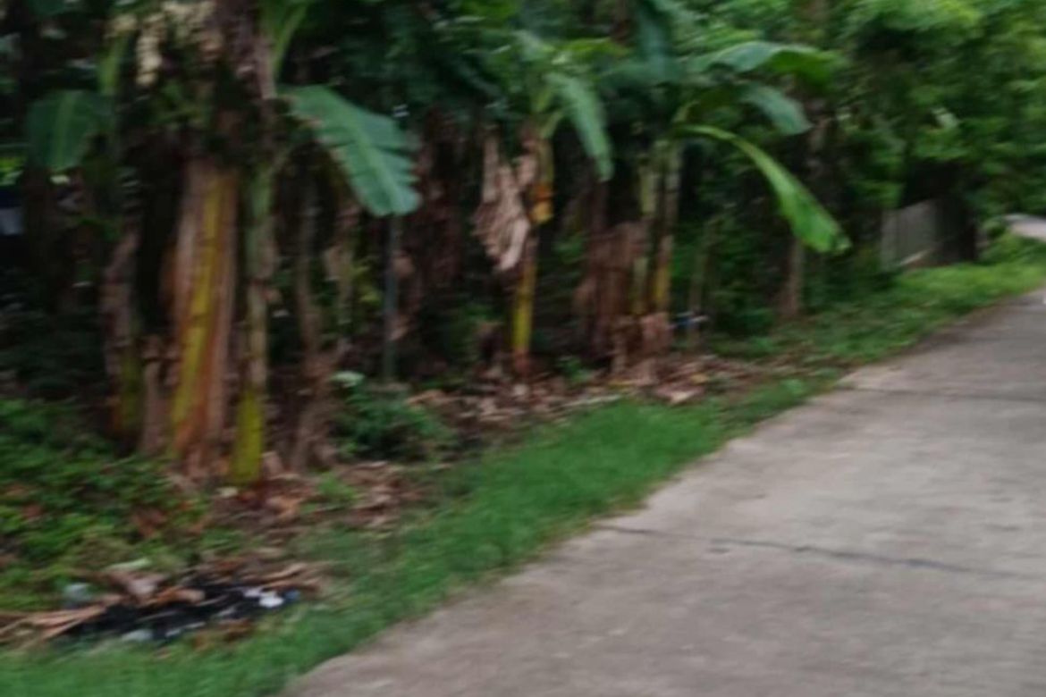 Land for Sale in Bulacnin, Lipa, Batangas – photo 4