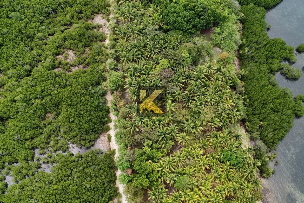 Land for Sale in Bulad, Isabela, Negros Occidental – photo 6