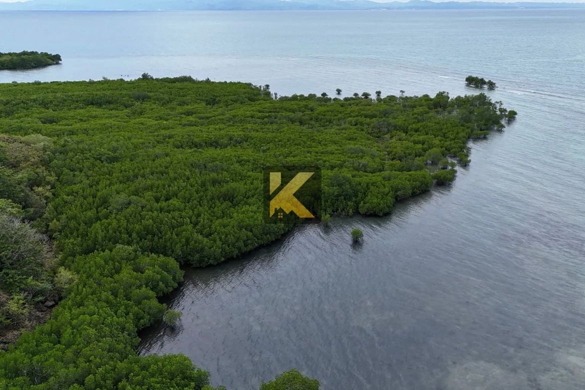 Land for Sale in Bulad, Isabela, Negros Occidental – photo 7