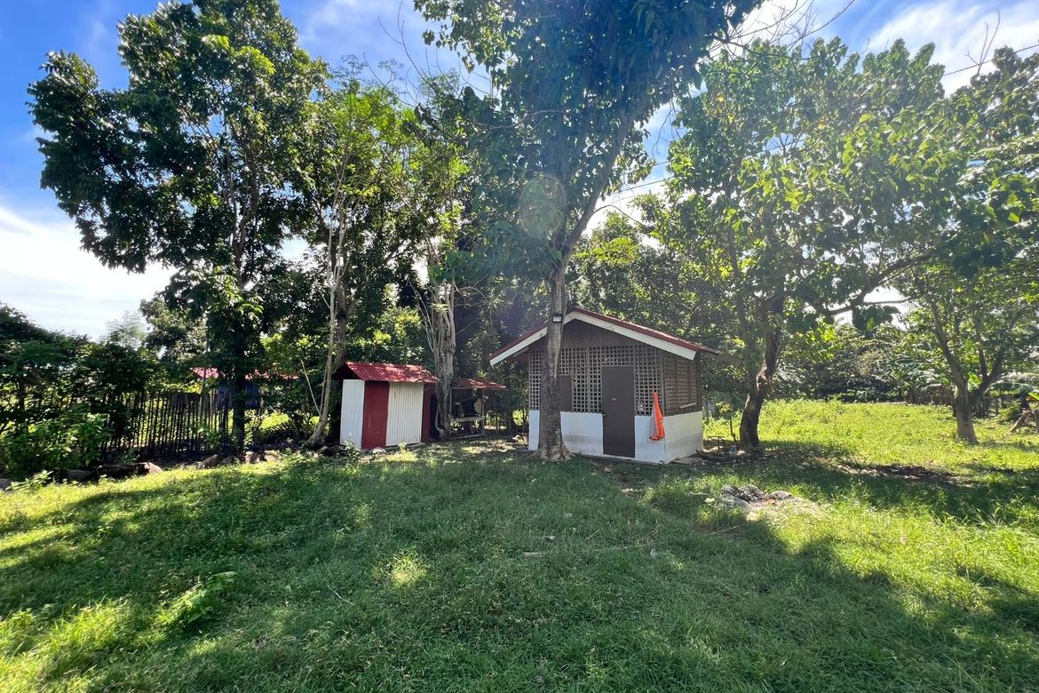 Land for Sale in Bulak, Dauin, Negros Oriental