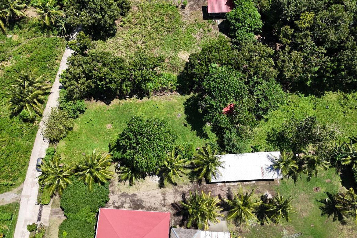 Land for Sale in Bulak, Dauin, Negros Oriental – photo 3