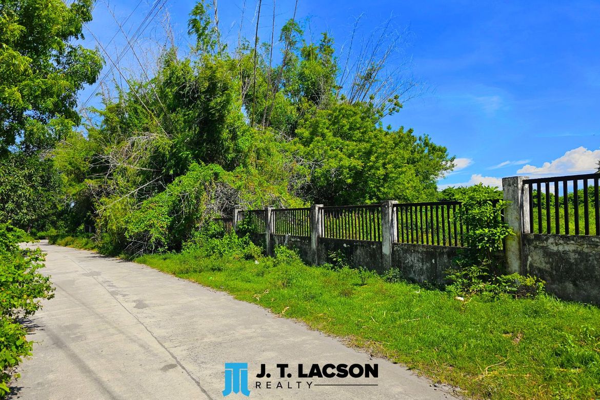 Land for Sale in Bulak, Dauin, Negros Oriental