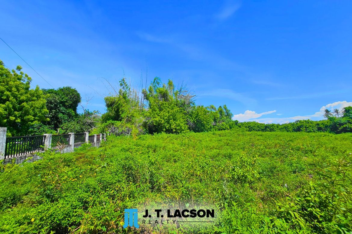 Land for Sale in Bulak, Dauin, Negros Oriental – photo 5
