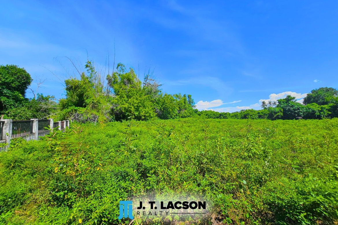 Land for Sale in Bulak, Dauin, Negros Oriental – photo 6