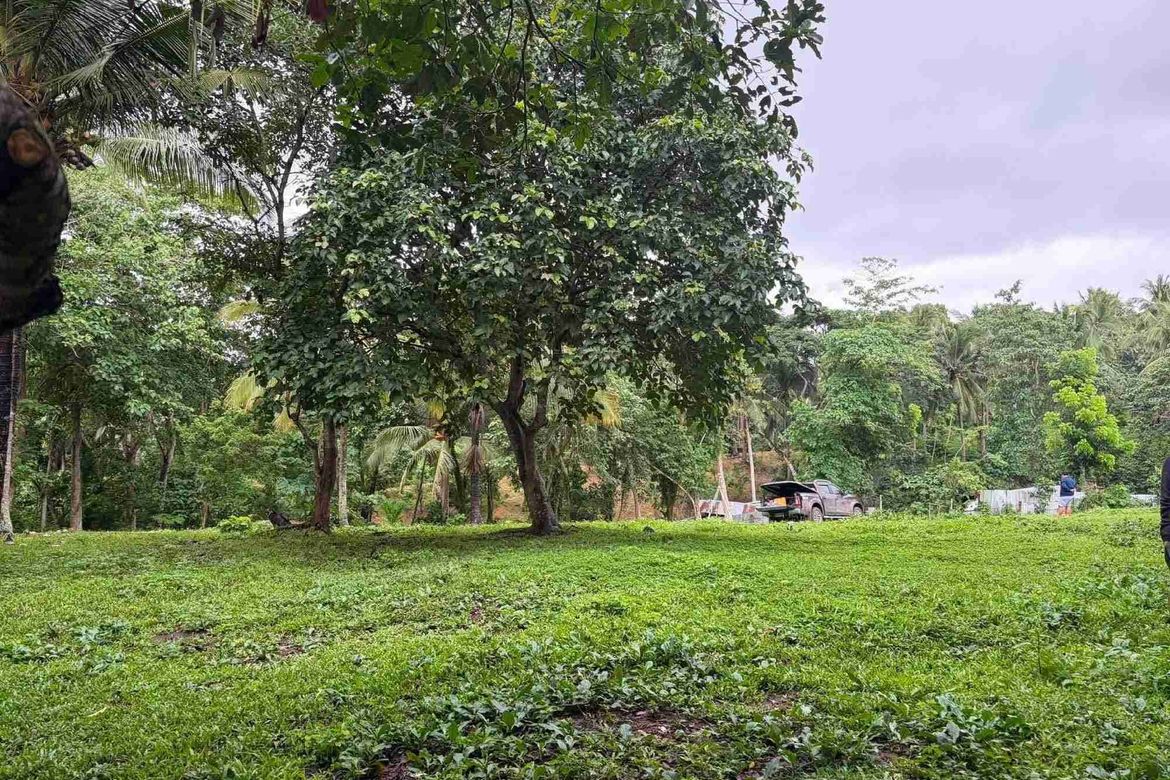 Land for Sale in Bulakin II, Dolores, Quezon