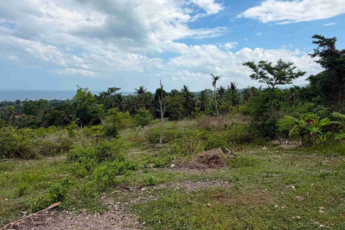 Land for Sale in Bulasa, Argao, Cebu – photo 2