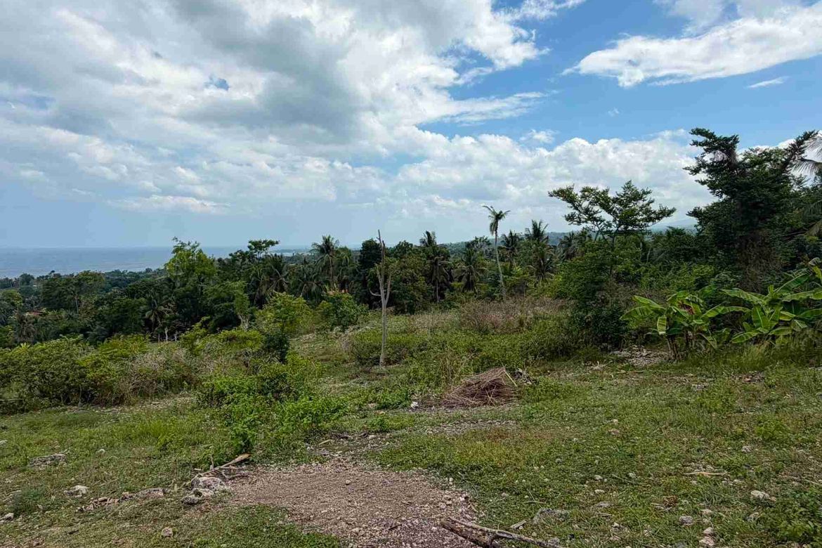 Land for Sale in Bulasa, Argao, Cebu – photo 6