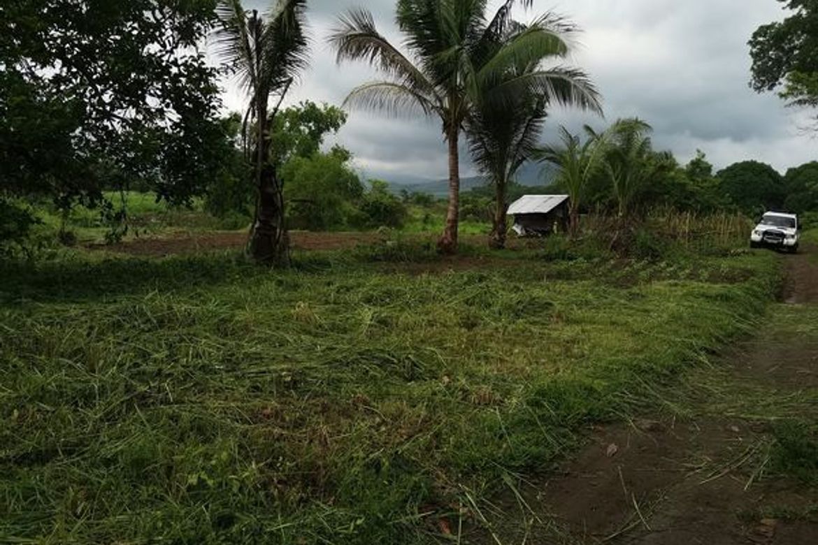 Land for Sale in Bulawen, Palauig, Zambales – photo 5