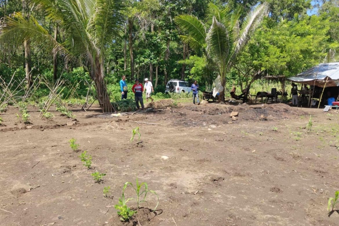 Land for Sale in Bulawen, Palauig, Zambales – photo 8
