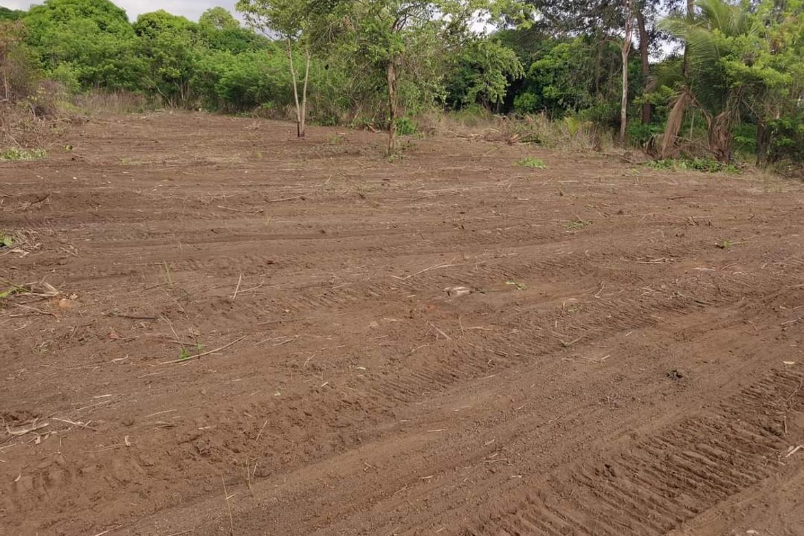 Land for Sale in Bulawen, Palauig, Zambales – photo 5