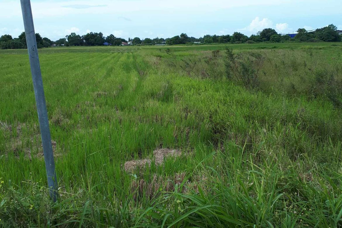 Land for Sale in Bulihan, Plaridel, Bulacan – photo 5
