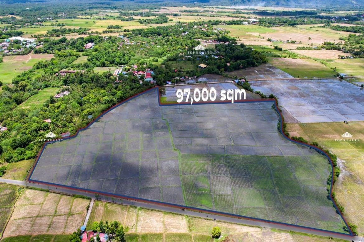 Land for Sale in Bulilan Sur, Pila, Laguna – photo 3