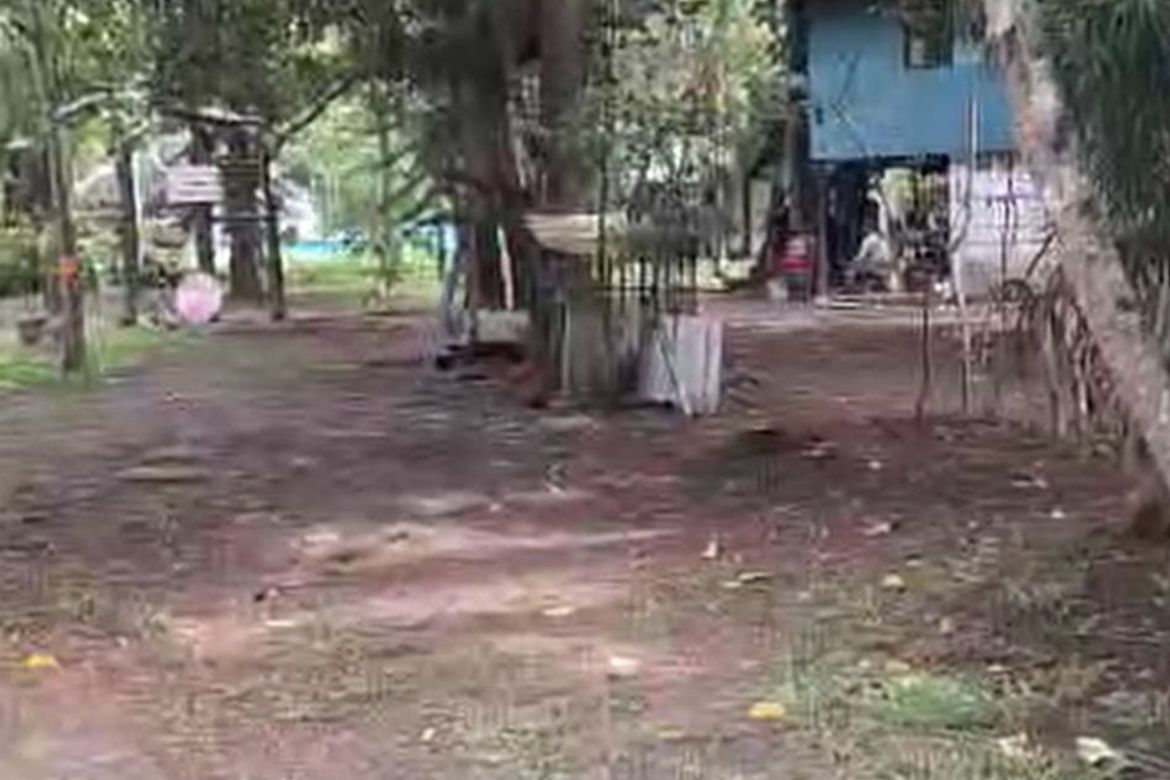 Land for Sale in Bulilan Sur, Pila, Laguna – photo 2
