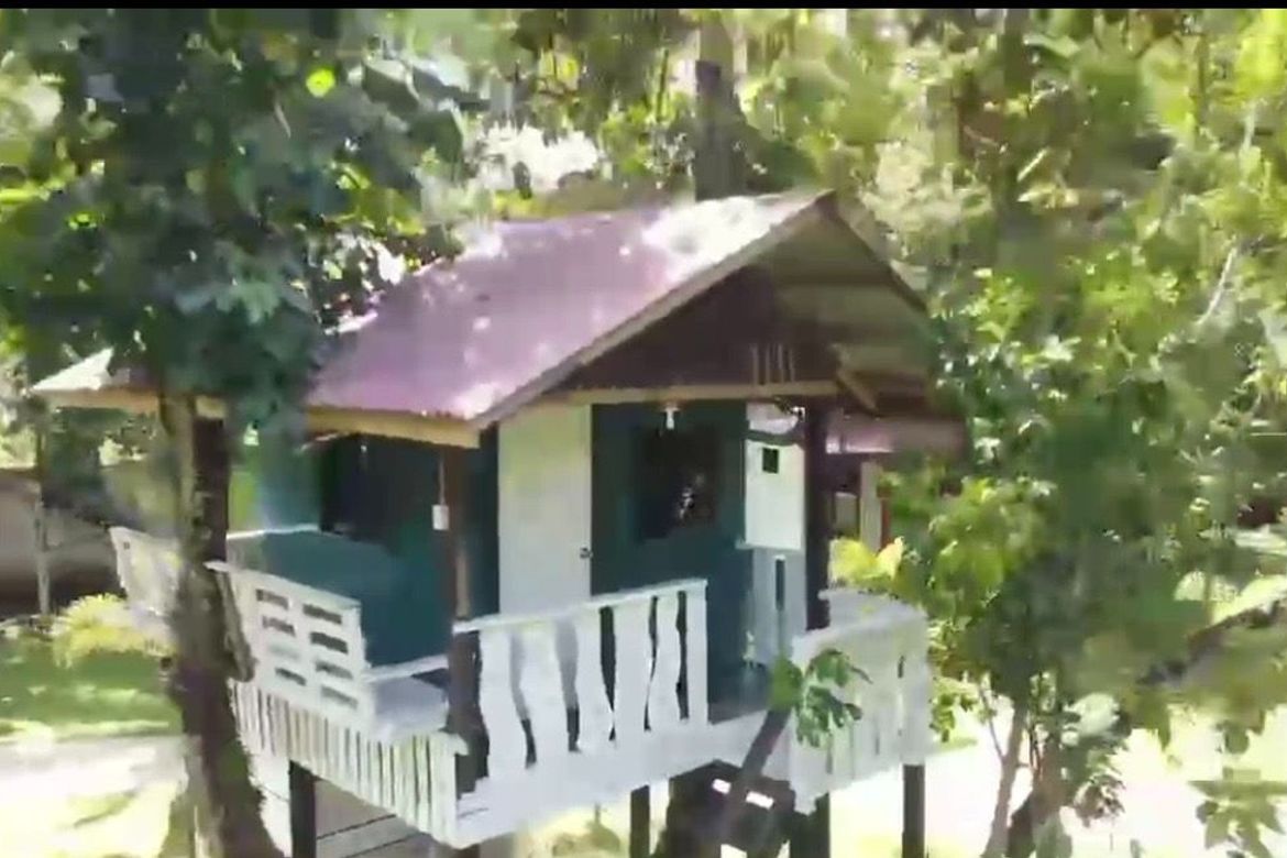 Land for Sale in Bulilan Sur, Pila, Laguna – photo 3