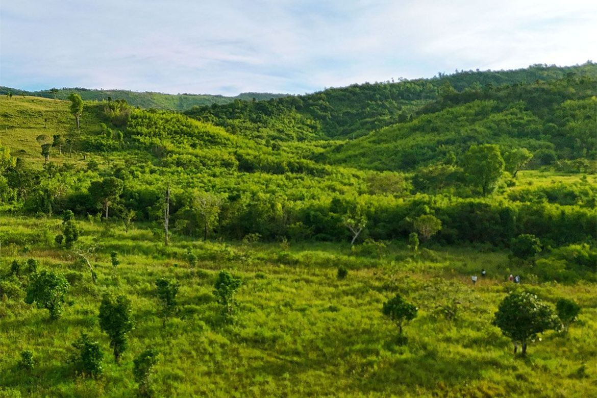 Land for Sale in Buluang, Busuanga, Palawan – photo 2