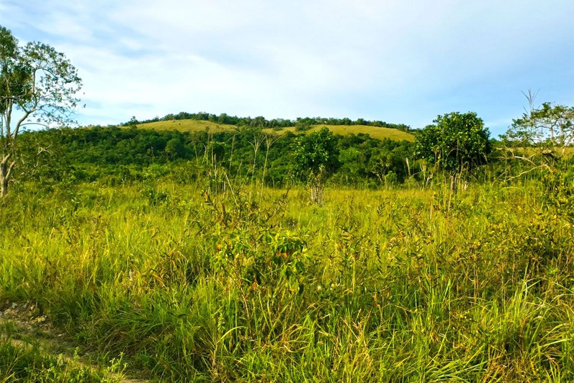 Land for Sale in Buluang, Busuanga, Palawan – photo 7