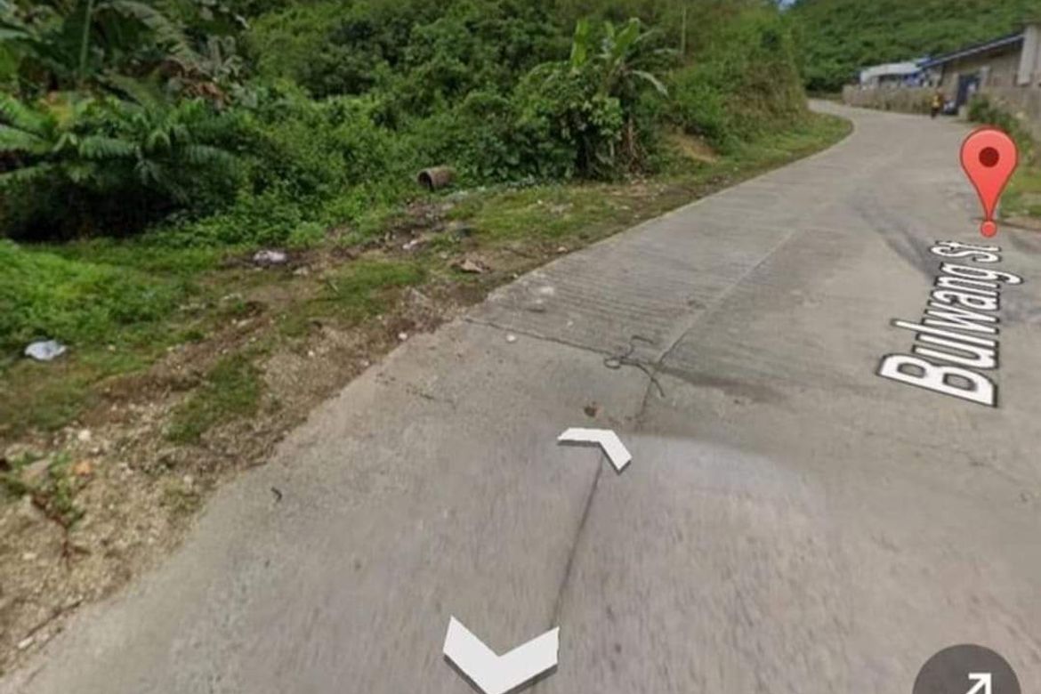 Land for Sale in Buluang, Compostela, Cebu – photo 2
