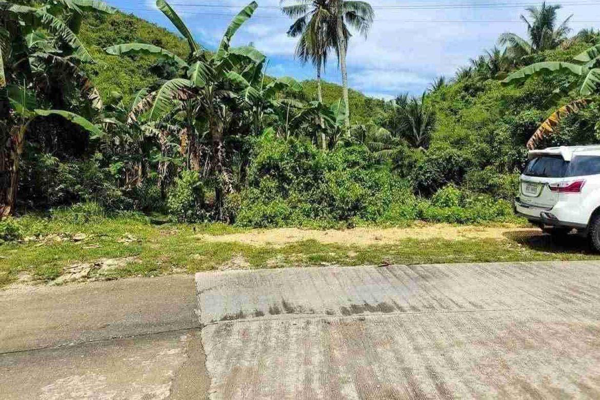 Land for Sale in Buluang, Compostela, Cebu – photo 3