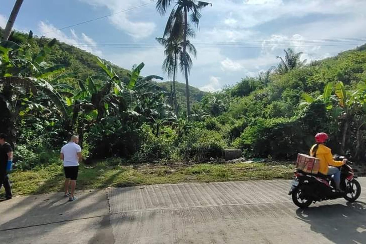 Land for Sale in Buluang, Compostela, Cebu – photo 2