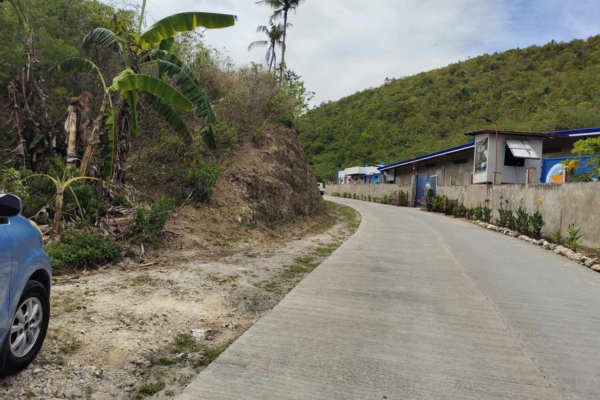 Land for Sale in Buluang, Compostela, Cebu – photo 3