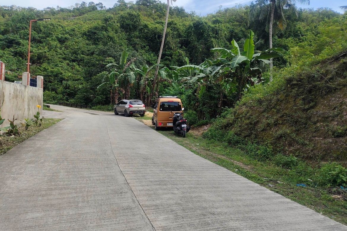 Land for Sale in Buluang, Compostela, Cebu – photo 5