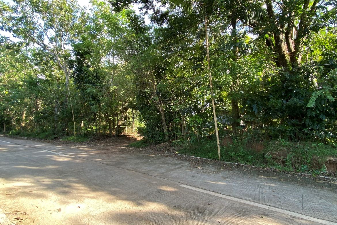 Land for Sale in Bulusukan, San Ildefonso, Bulacan – photo 2