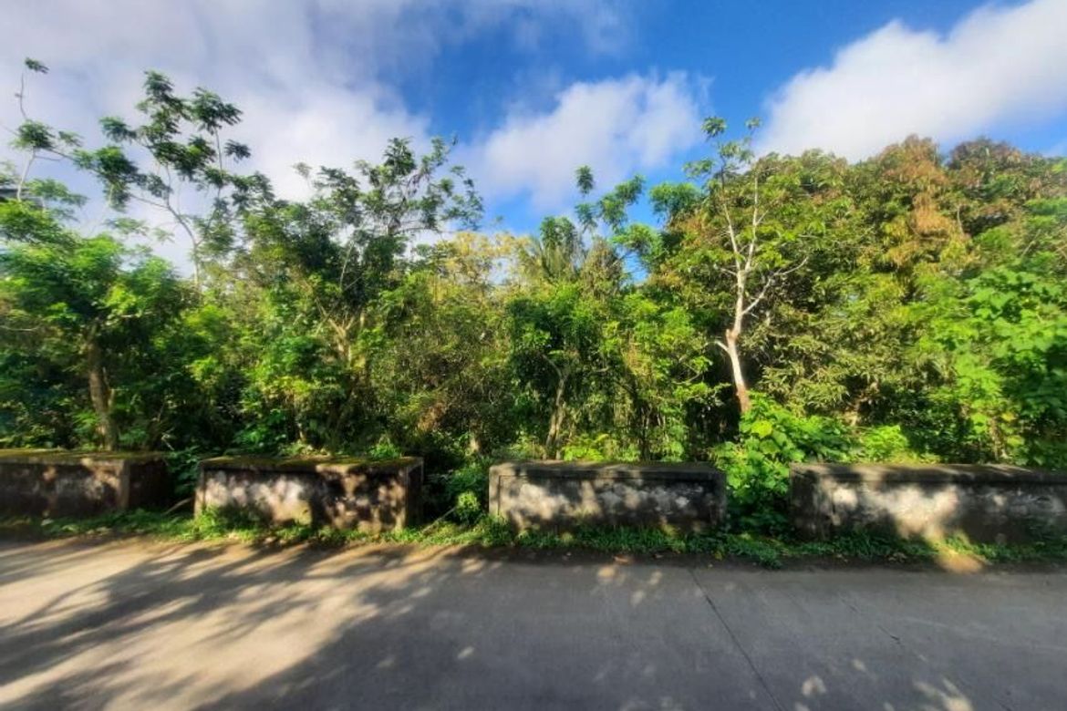 Land for Sale in Buna Lejos II, Indang, Cavite