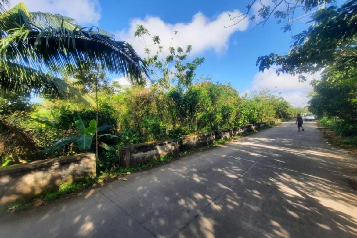 Land for Sale in Buna Lejos II, Indang, Cavite – photo 2