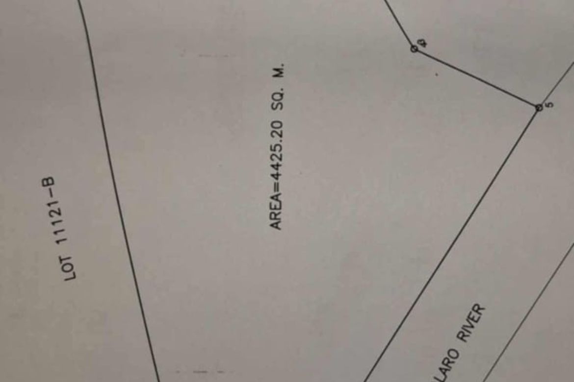 Land for Sale in Buna Lejos II, Indang, Cavite – photo 2