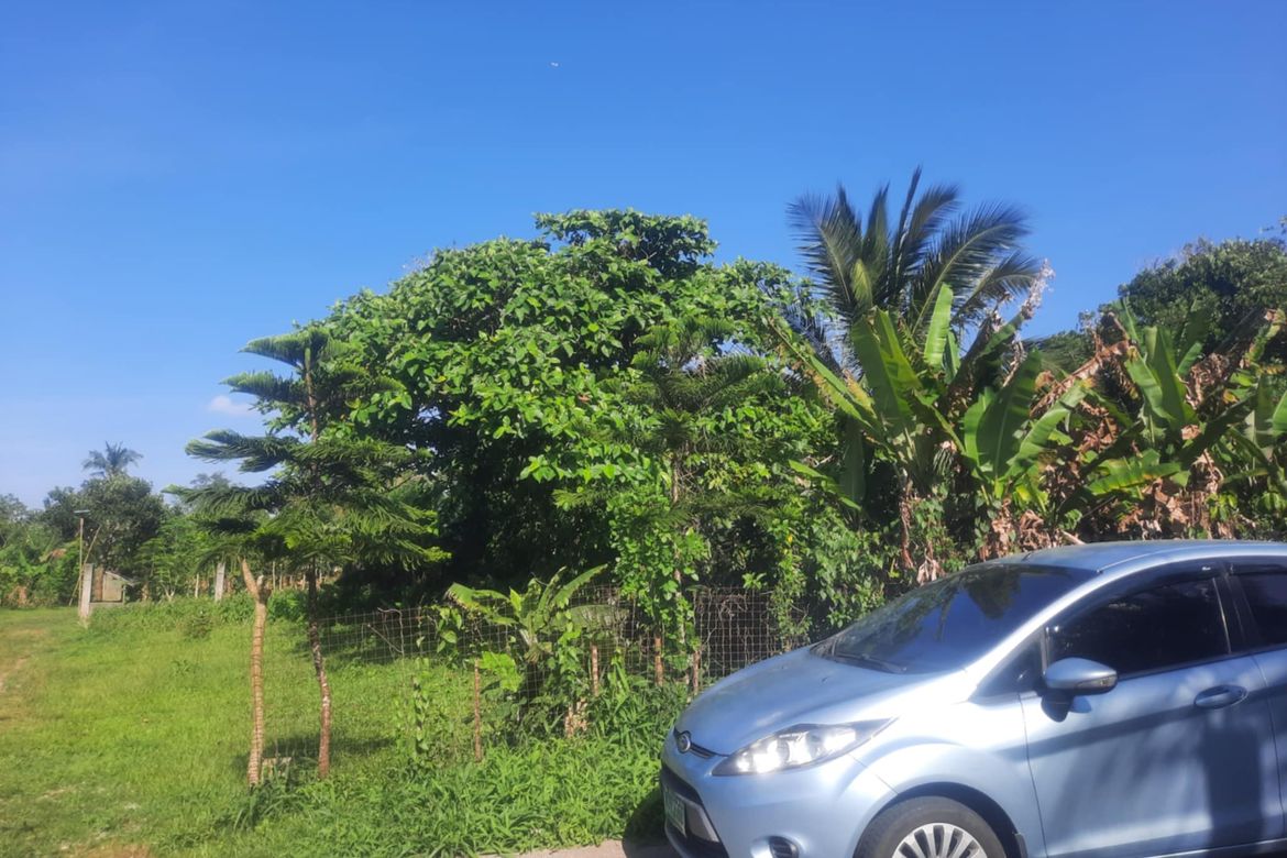 Land for Sale in Buna Lejos II, Indang, Cavite – photo 5