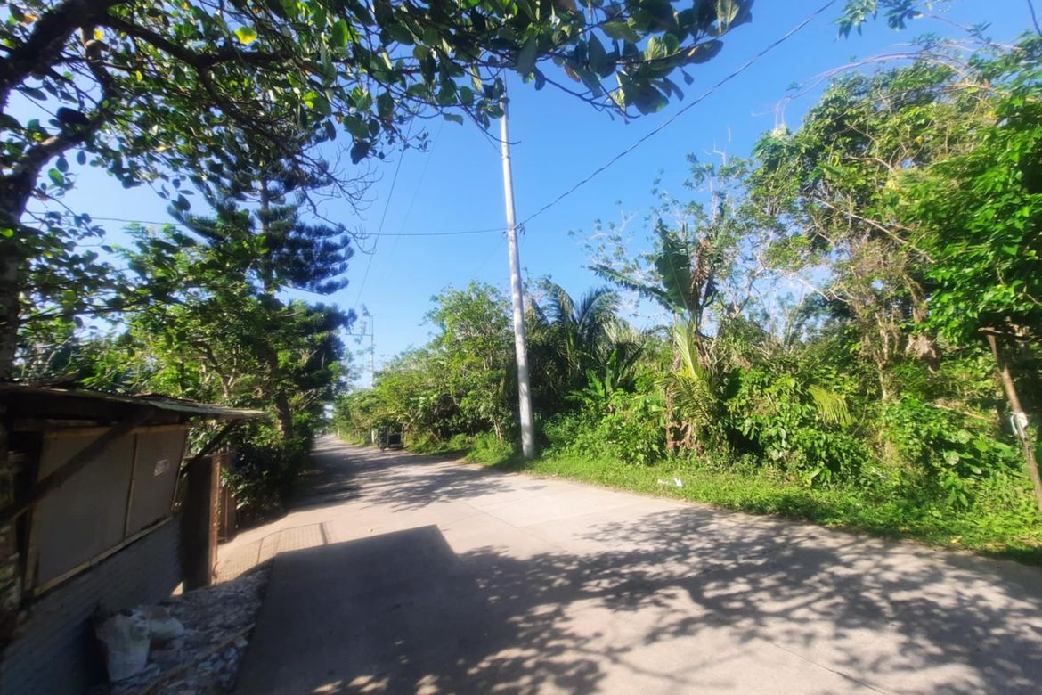 Land for Sale in Buna Lejos II, Indang, Cavite – photo 7
