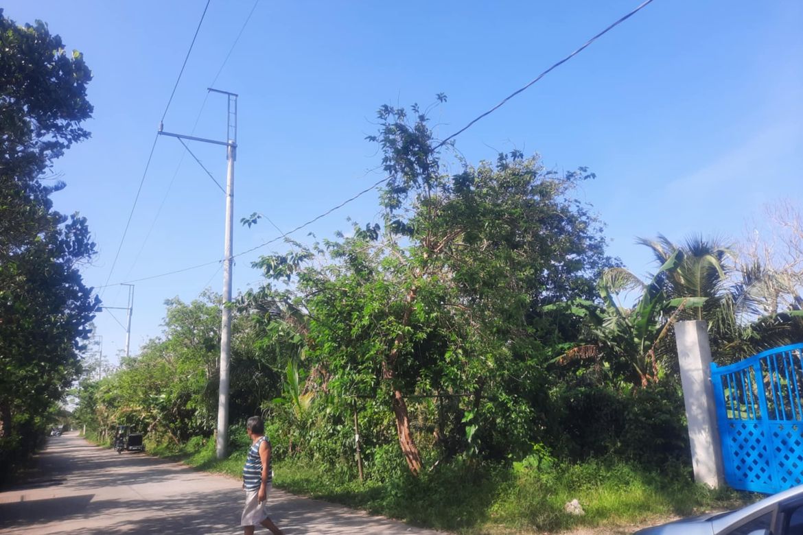 Land for Sale in Buna Lejos II, Indang, Cavite – photo 8